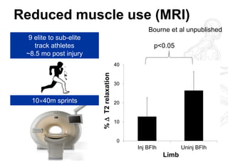 Reduced muscle use (MRI) 
0 
10 
20 
30 
40 
Inj BFlh 
Uninj BFlh 
%  T2 relaxation 
Limb 
9 elite to sub-elite track athletes ~8.5 mo post injury 
1040m sprints 
p<0.05 
Bourne et al unpublished  