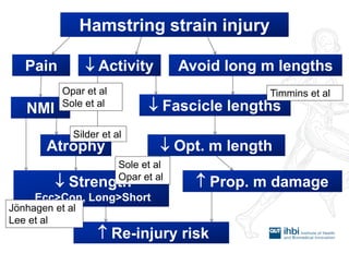 Hamstring strain injury 
Pain 
Avoid long m lengths 
 Activity 
NMI 
Atrophy 
 Fascicle lengths 
 Opt. m length 
 Strength Ecc>Con, Long>Short 
 Prop. m damage 
 Re-injury risk 
Opar et al 
Sole et al 
Timmins et al 
Silder et al 
Sole et al 
Opar et al 
Jönhagen et al Lee et al  