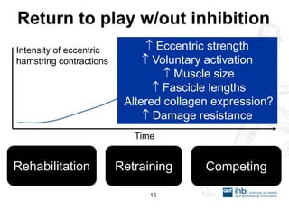 Return to play w/out inhibition 
Rehabilitation 
Retraining 
Competing 
Intensity of eccentric hamstring contractions 
Time 
16 
 Eccentric strength  Voluntary activation  Muscle size  Fascicle lengths Altered collagen expression?  Damage resistance  