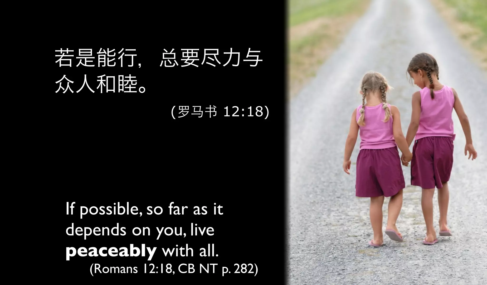 若是能行，总要尽力与
众人和睦。
                (罗马书 12:18)




If possible, so far as it
depends on you, live
peaceably with all.
   (Romans 12:18, CB NT p. 282)
 