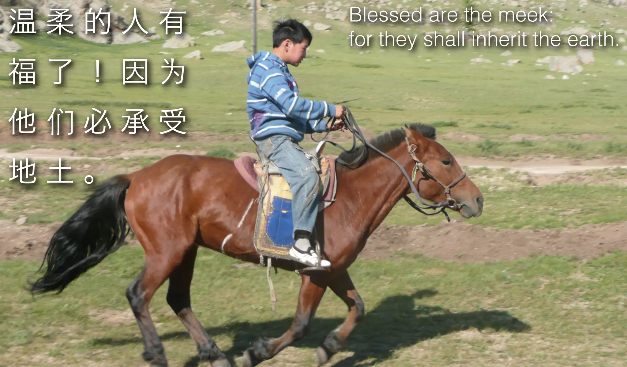 Blessed are the meek:
温柔的人有   for they shall inherit the earth.
福了！因为
他们必承受
地土。
 