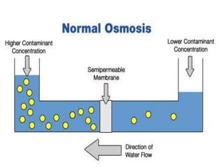 13_Boiler_Water_Treatment.ppt
