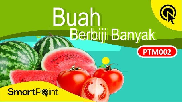 Buah Biji Terbanyak Buah Biji Terbanyak