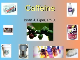 Caffeine
Brian J. Piper, Ph.D.
 
