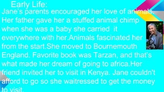 Early Life:
Jane’s parents encouraged her love of animals.
Her father gave her a stuffed animal chimp
when she was a baby she carried it
everywhere with her.Animals fascinated her
from the start.She moved to Bournemouth
England. Favorite book was Tarzan, and that’s
what made her dream of going to africa.Her
friend invited her to visit in Kenya. Jane couldn't
afford to go so she waitressed to get the money
 