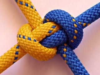 conektioaprendizaje, coaching, redes 18
 