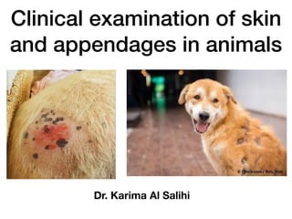 Clinical examination of skin
and appendages in animals
Dr. Karima Al Salihi
 