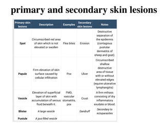 13 clinical examination of skin and appendages in animals | PDF