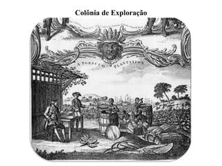 Colônia de Exploração
 