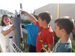 13º cultivo fresas en vertical