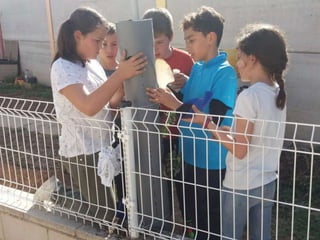 13º cultivo fresas en vertical