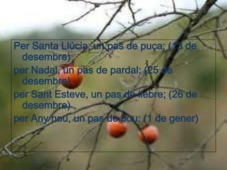 Per Santa Llúcia, un pas de puça; (13 de
  desembre)
per Nadal, un pas de pardal; (25 de
  desembre)
per Sant Esteve, un pas de llebre; (26 de
  desembre)
per Any nou, un pas de bou; (1 de gener)
 