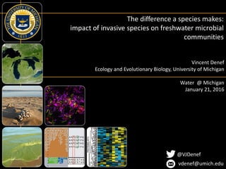Vincent Denef
Ecology and Evolutionary Biology, University of Michigan
Water @ Michigan
January 21, 2016
The difference a species makes:
impact of invasive species on freshwater microbial
communities
@VJDenef
vdenef@umich.edu
 
