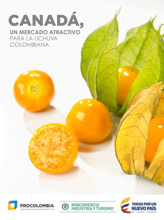CANADÁ,
UN MERCADO ATRACTIVO
PARA LA UCHUVA
COLOMBIANA
 