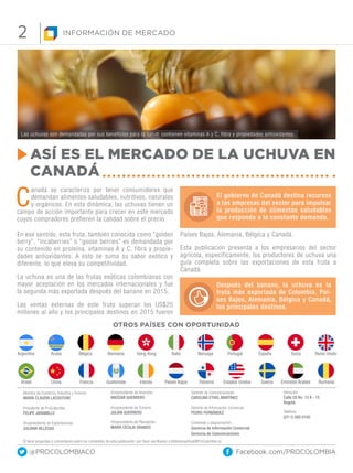 2
Facebook.com/PROCOLOMBIA@PROCOLOMBIACO
C
anadá se caracteriza por tener consumidores que
demandan alimentos saludables, ...