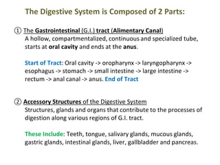 Compose Tract Comprehensive Applied Anatomy of the Human Digestive System | PDF