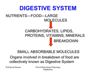 Prof.Sunil Chavan Prin.K.M.Kundnani Pharmacy
Polytechnic
DIGESTIVE SYSTEM
NUTRIENTS—FOOD—LARGE
MOLECULES
CARBOHYDRATES, LIPIDS,
PROTEINS, VITAMINS, MINERALS
BREAKDOWN
SMALL ABSORBABLE MOLECULES
Organs involved in breakdown of food are
collectively known as Digestive System
 
