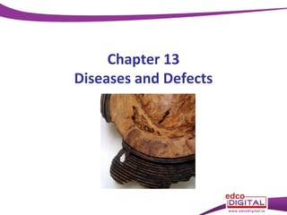 Chapter 13
Diseases and Defects

 