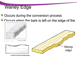 Waney Edge
Occurs during the conversion process
Occurs when the bark is left on the edge of the
plank

 