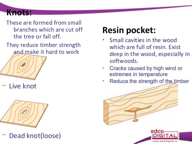 13 diseases tree rings diagram 