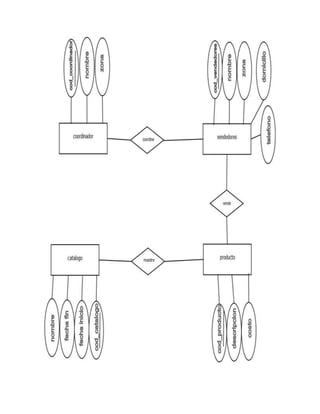 13 distribuidora de cosmeticos