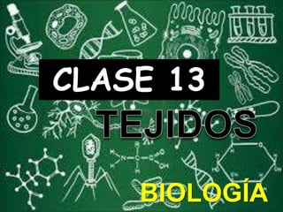 BIOLOGÍA
CLASE 13
 
