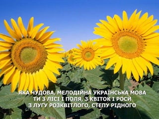 ЯКА ЧУДОВА, МЕЛОДІЙНА УКРАЇНСЬКА МОВА 
ТИ З ЛІСІ І ПОЛЯ, З КВІТОК І РОСИ 
З ЛУГУ РОЗКВІТЛОГО, СТЕПУ РІДНОГО 
 