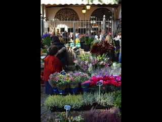 13e foulées bryardes