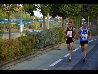 13e foulées bryardes