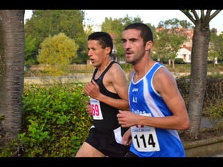 13e foulées bryardes