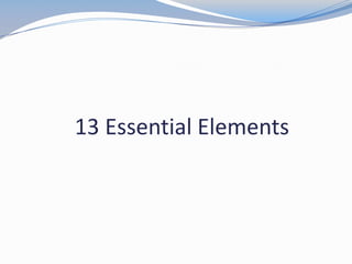 13 Essential Elements
 