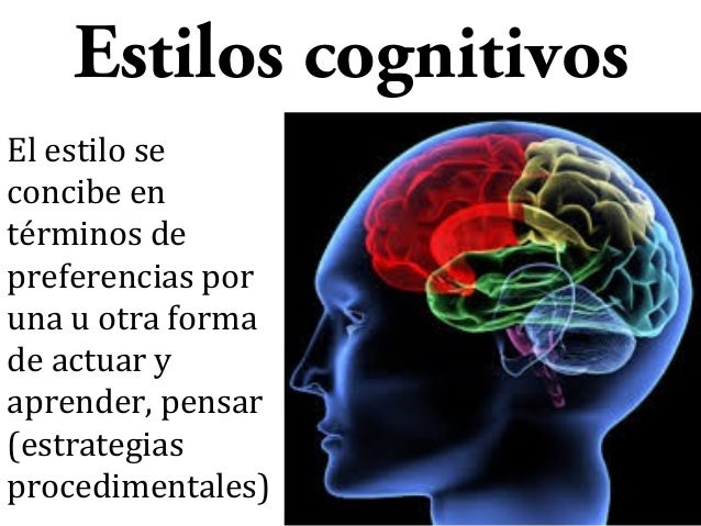 13 estilos cognitivos