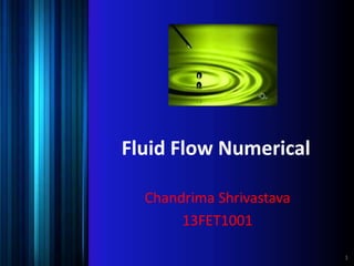 Fluid Flow Numerical
Chandrima Shrivastava
13FET1001
1
 