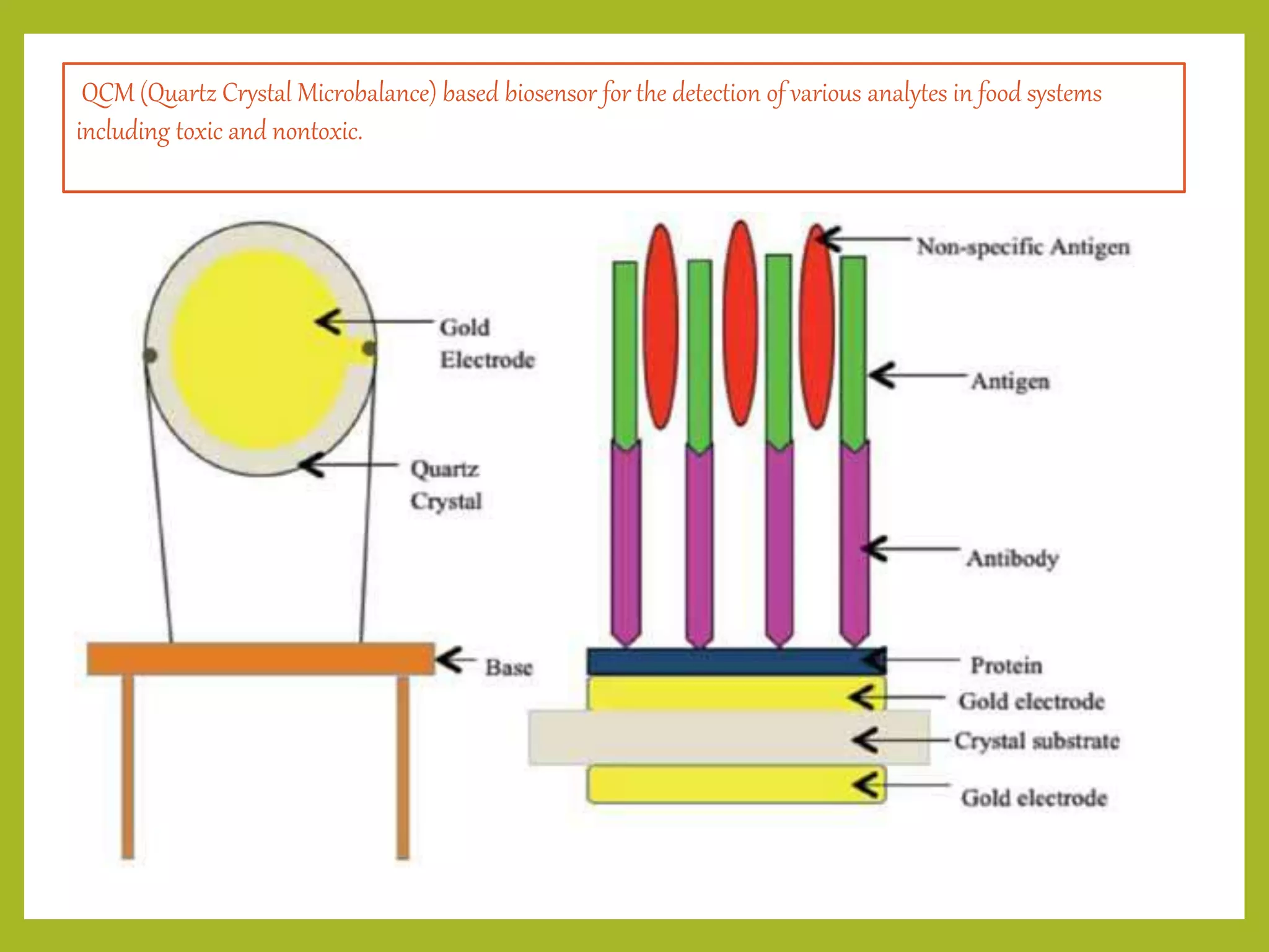 QCM (Quartz Crystal Microbalance) based biosensor for the detection of various analytes in food systems
including toxic and nontoxic.
 