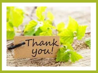 Processed Meat Packaging - Anas Shaikh - 13FET1006