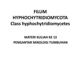FILUM
HYPHOCHYTRIDIOMYCOTA
Class hyphochytridiomycetes
MATERI KULIAH KE 13
PENGANTAR MIKOLOGI TUMBUHAN
 