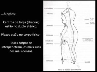 ...funções:...funções:
Centros de força (chacras)Centros de força (chacras)
estão no duplo etérico;estão no duplo etérico;
Plexos estão no corpo físico.Plexos estão no corpo físico.
Esses corpos seEsses corpos se
interpenetram, os mais sutisinterpenetram, os mais sutis
nos mais densos.nos mais densos.
 