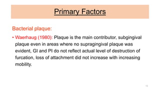 Primary Factors
Bacterial plaque:
• Waerhaug (1980): Plaque is the main contributor, subgingival
plaque even in areas where no supragingival plaque was
evident, GI and PI do not reflect actual level of destruction of
furcation, loss of attachment did not increase with increasing
mobility.
13
 