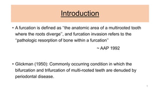 Introduction
• A furcation is defined as ‘‘the anatomic area of a multirooted tooth
where the roots diverge’’, and furcation invasion refers to the
‘‘pathologic resorption of bone within a furcation’’
~ AAP 1992
• Glickman (1950): Commonly occurring condition in which the
bifurcation and trifurcation of multi-rooted teeth are denuded by
periodontal disease.
4
 
