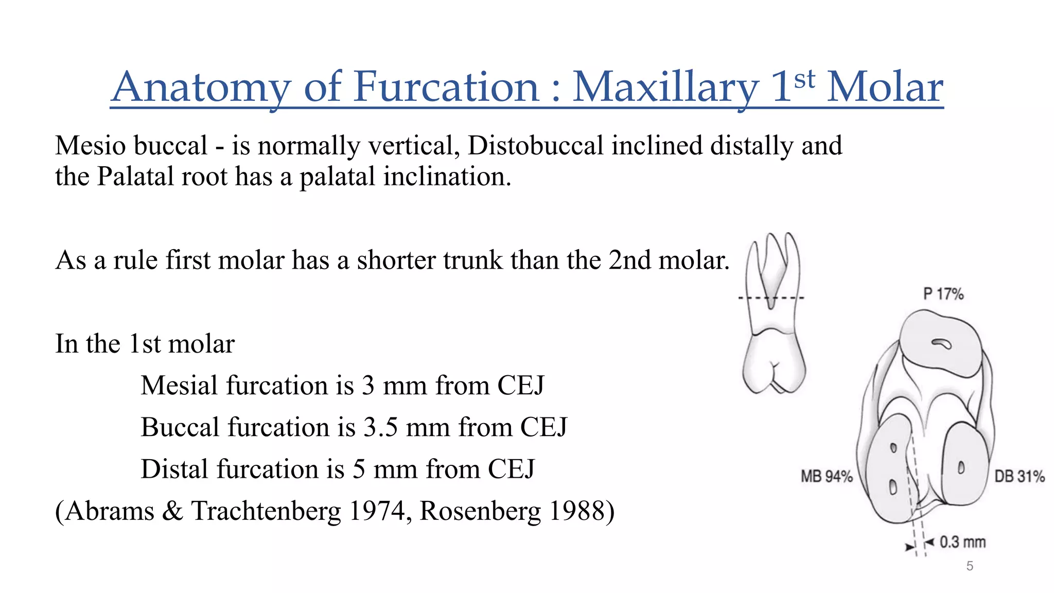 Anatomy of Furcation : Maxillary 1st Molar
Mesio buccal - is normally vertical, Distobuccal inclined distally and
the Palatal root has a palatal inclination.
As a rule first molar has a shorter trunk than the 2nd molar.
In the 1st molar
Mesial furcation is 3 mm from CEJ
Buccal furcation is 3.5 mm from CEJ
Distal furcation is 5 mm from CEJ
(Abrams & Trachtenberg 1974, Rosenberg 1988)
5
 