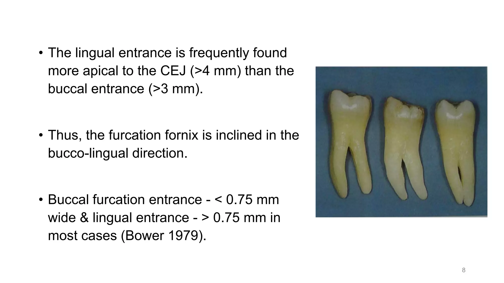 • The lingual entrance is frequently found
more apical to the CEJ (>4 mm) than the
buccal entrance (>3 mm).
• Thus, the furcation fornix is inclined in the
bucco-lingual direction.
• Buccal furcation entrance - < 0.75 mm
wide & lingual entrance - > 0.75 mm in
most cases (Bower 1979).
8
 