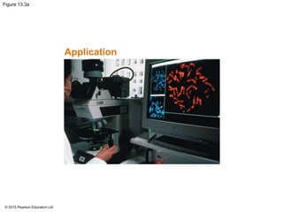 © 2015 Pearson Education Ltd
Figure 13.3a
Application
 