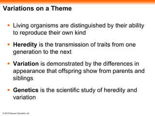 © 2015 Pearson Education Ltd
Variations on a Theme
 Living organisms are distinguished by their ability
to reproduce their own kind
 Heredity is the transmission of traits from one
generation to the next
 Variation is demonstrated by the differences in
appearance that offspring show from parents and
siblings
 Genetics is the scientific study of heredity and
variation
 