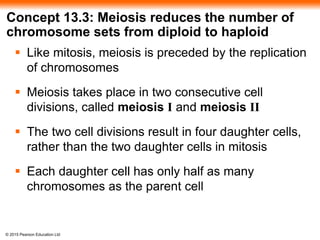 © 2015 Pearson Education Ltd
Concept 13.3: Meiosis reduces the number of
chromosome sets from diploid to haploid
 Like mitosis, meiosis is preceded by the replication
of chromosomes
 Meiosis takes place in two consecutive cell
divisions, called meiosis I and meiosis II
 The two cell divisions result in four daughter cells,
rather than the two daughter cells in mitosis
 Each daughter cell has only half as many
chromosomes as the parent cell
 
