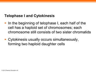 © 2015 Pearson Education Ltd
Telophase I and Cytokinesis
 In the beginning of telophase I, each half of the
cell has a haploid set of chromosomes; each
chromosome still consists of two sister chromatids
 Cytokinesis usually occurs simultaneously,
forming two haploid daughter cells
 