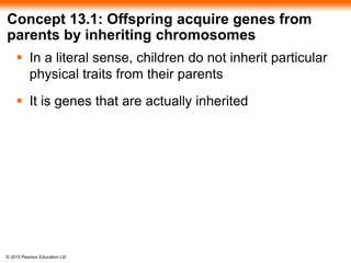 © 2015 Pearson Education Ltd
Concept 13.1: Offspring acquire genes from
parents by inheriting chromosomes
 In a literal sense, children do not inherit particular
physical traits from their parents
 It is genes that are actually inherited
 