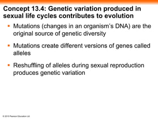 © 2015 Pearson Education Ltd
Concept 13.4: Genetic variation produced in
sexual life cycles contributes to evolution
 Mutations (changes in an organism’s DNA) are the
original source of genetic diversity
 Mutations create different versions of genes called
alleles
 Reshuffling of alleles during sexual reproduction
produces genetic variation
 