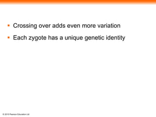 © 2015 Pearson Education Ltd
 Crossing over adds even more variation
 Each zygote has a unique genetic identity
 