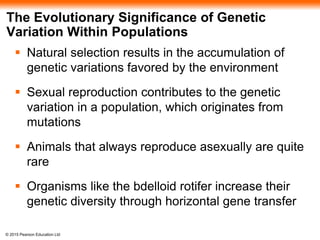 © 2015 Pearson Education Ltd
The Evolutionary Significance of Genetic
Variation Within Populations
 Natural selection results in the accumulation of
genetic variations favored by the environment
 Sexual reproduction contributes to the genetic
variation in a population, which originates from
mutations
 Animals that always reproduce asexually are quite
rare
 Organisms like the bdelloid rotifer increase their
genetic diversity through horizontal gene transfer
 