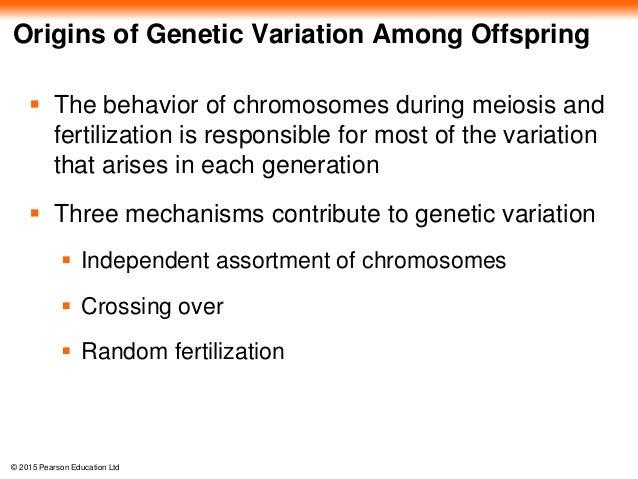 of mechanisms 3 genetic variation ge 13 lecture presentation